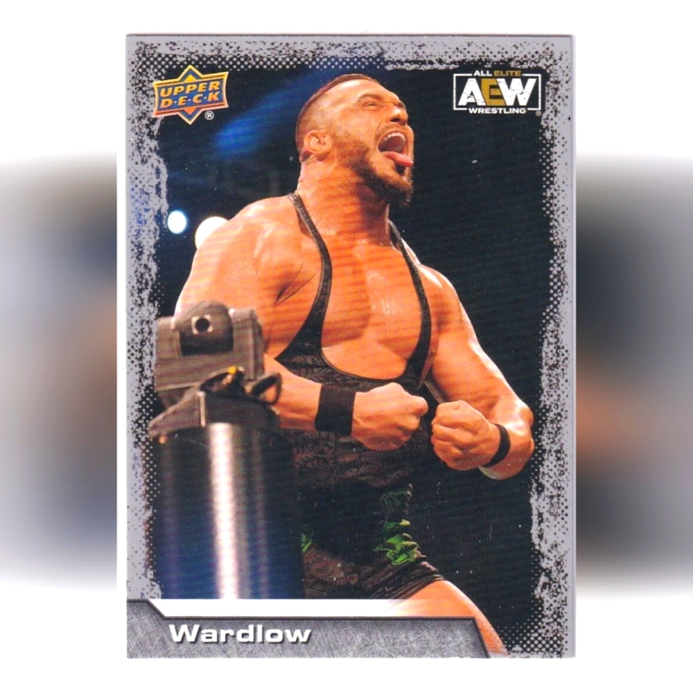 Wardlow 🔥 AEW Wrestling Trading Card 🏆 AEW Champion